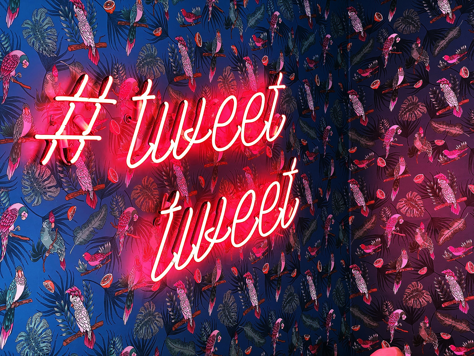 Learn React By Building A X Clone