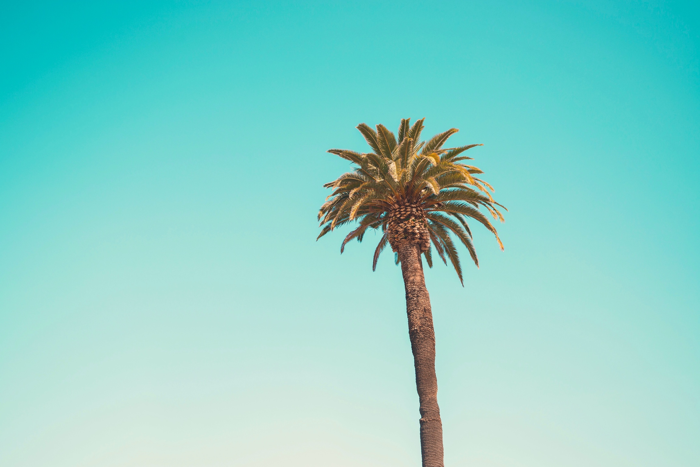 Why People Are Afraid Of The DOM?